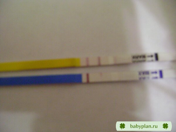 тест на менопаузу-жёлтый, на беременность синий