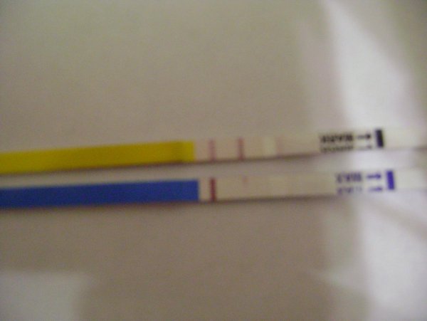 тест на менопаузу-жёлтый, на беременность синий