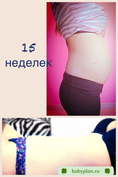15 неделек)))
