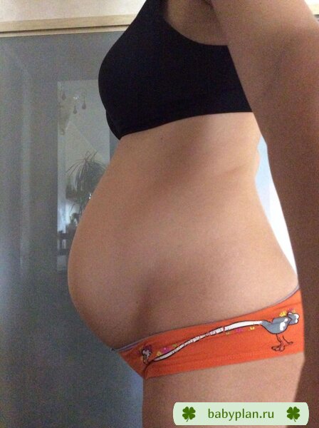 19+6
