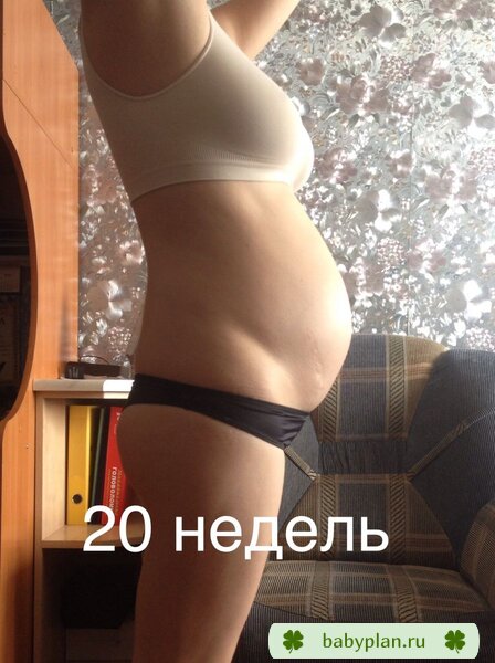 20 недель и 2 мужичка в пузе