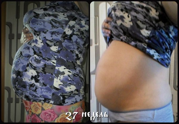 Первая беременность 27 недель!
