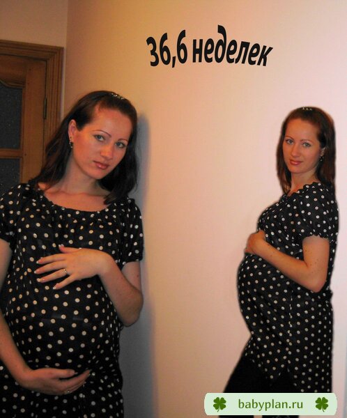 Почти 37 неделек!