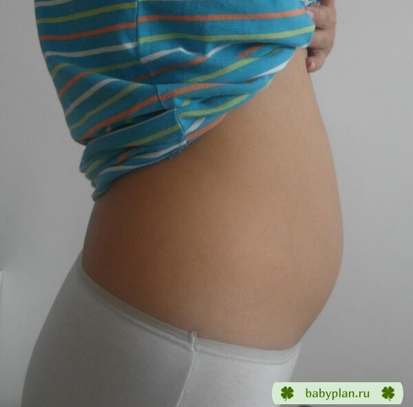 пуз 11 недель (эмбриональных)