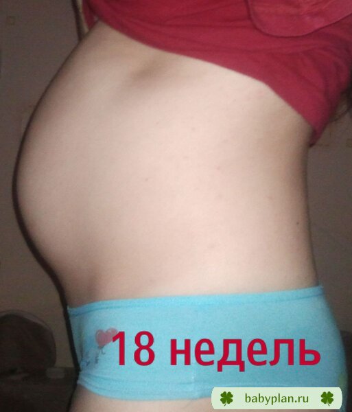 18 недель