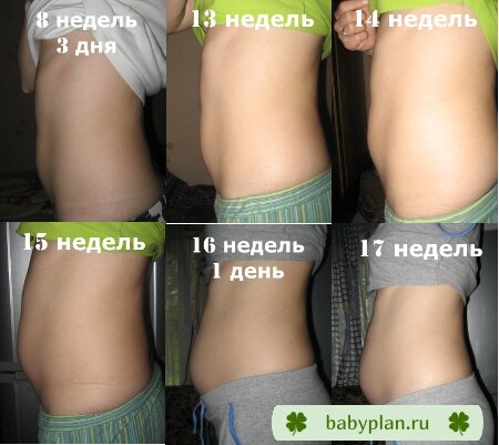 Наш третий коллажик с 8 по 17 недельку.