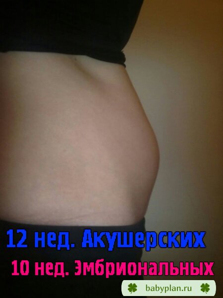 мой пузяка)