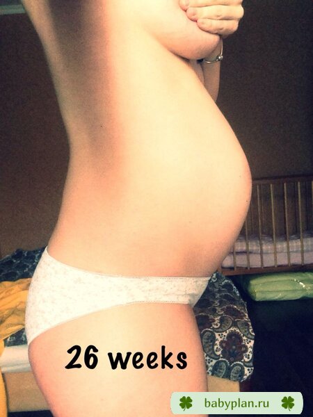 26 недель
