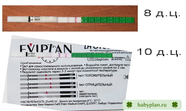 На 10-й день положительный?