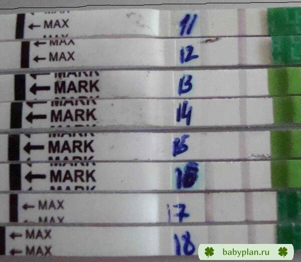 3 цикл