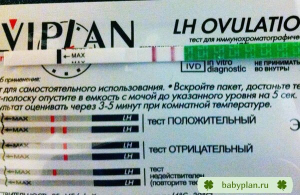 Мой супер положительный тестик на овуляцию 15ДЦ