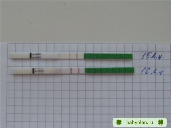 Мой тест на О 16ДЦ, по УЗИ Э-1,3 доминантный фолликул в ПЯ 1,3х1,8х2,6