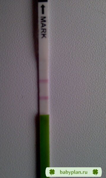 IMAG0325