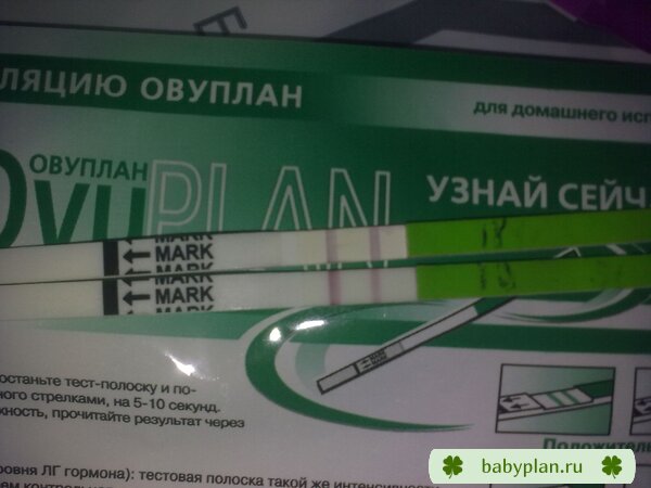овуляшка