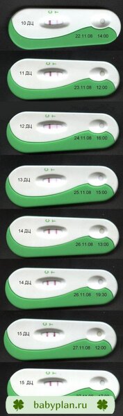 Динамика тестов на Овуляцию