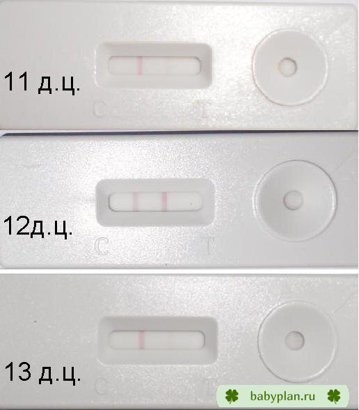 11,12,13 д.ц