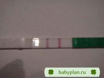 Овуляция?