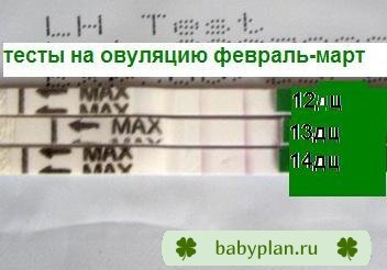 тест на овуляцию