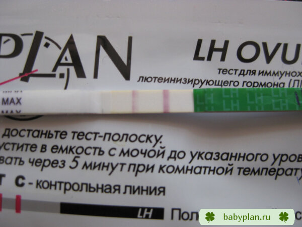 Овуляция - 1