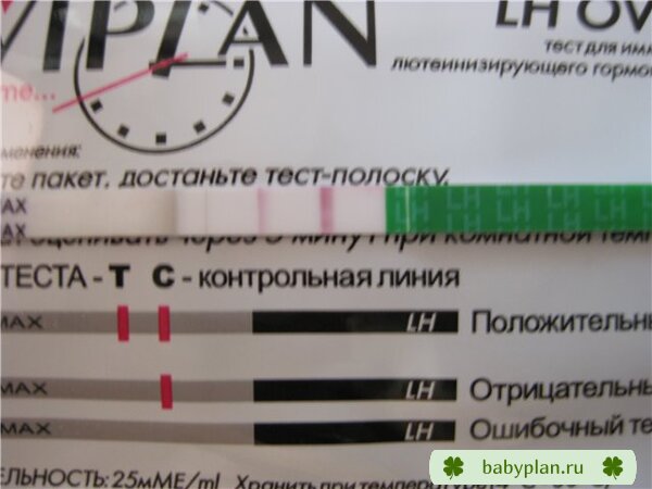овуляция 2 - полосочки стали слабее????