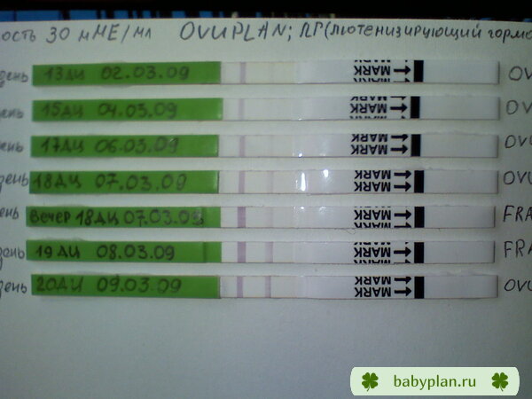 тестики на овуляцию