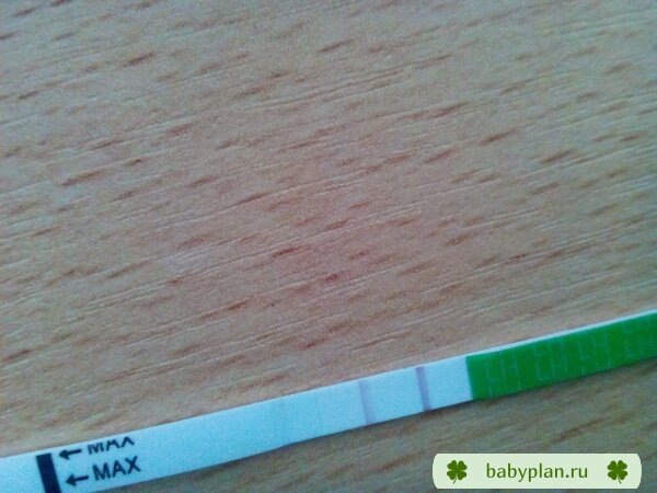 IMG 20131218 125543
