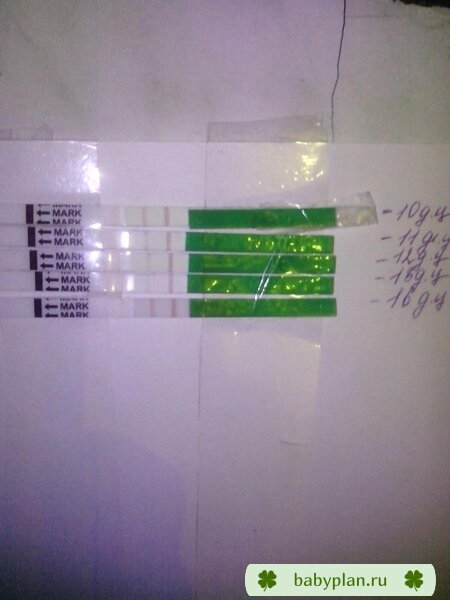IMG 20140406 202202