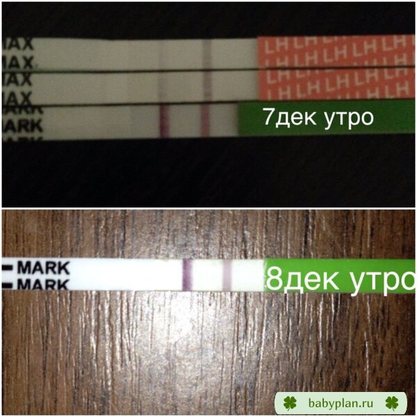Жду жду жду , 19 ДЦ