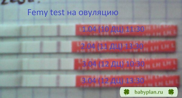 Тесты на овуляцию Femy test