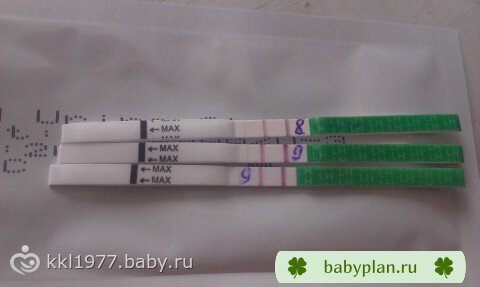 Тесты на о с 8 дц