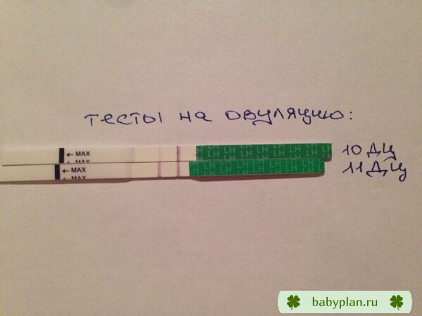 Тесты на овуляцию