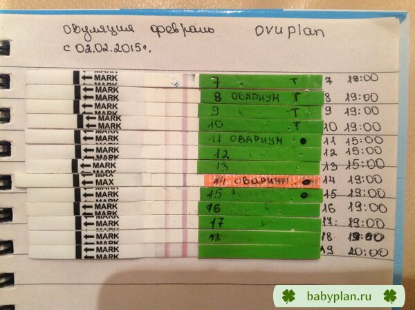 Продолжение 8-19дц