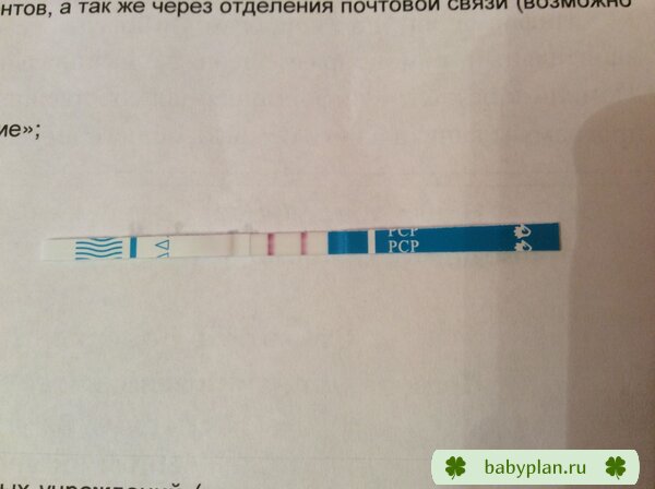 22 июня, первые две полоски