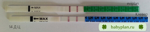 Тесты на овуляцию 14 ДЦ Эвиплан и ООО Клевер