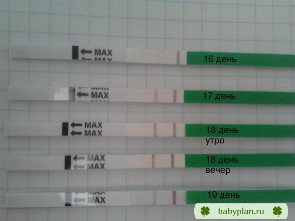 Мои тестики на овуляцию Овуплан