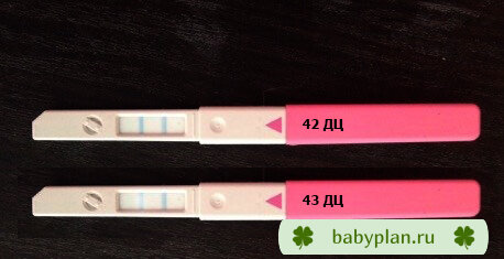 СПКЯ. Полный цикл на Сиофоре. Овуляция на 42 ДЦ.
