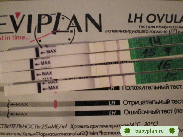 Без заголовка