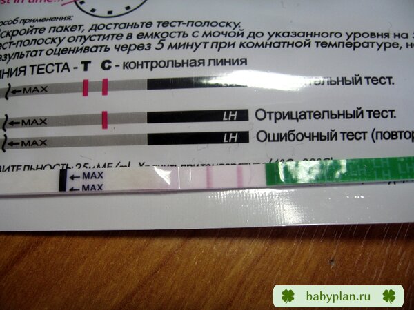 Эвиплан