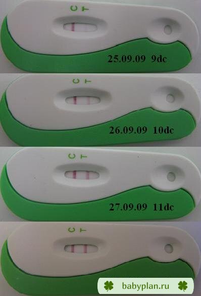 farma medic ovulation utine test