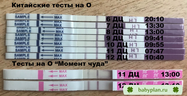 Китайский и Момент чуда тесты на О