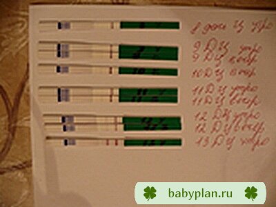 МОИ ТЕСТИКИ