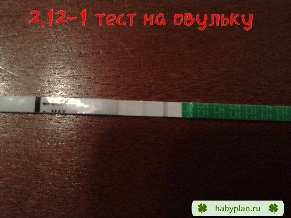 2.12-1 тест на овуляцию