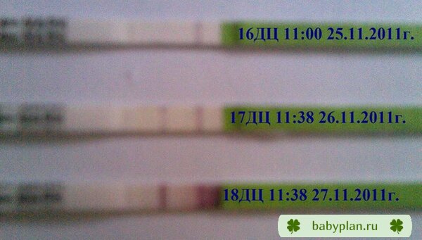 ну тут всё написано 16,17 и 18 ДЦ
