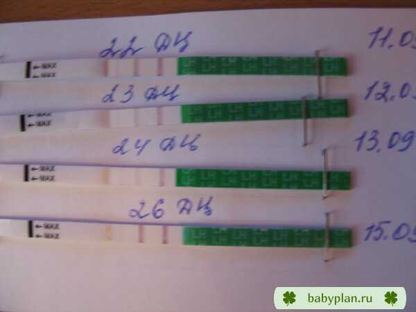Странный результат тестов на овуляцию