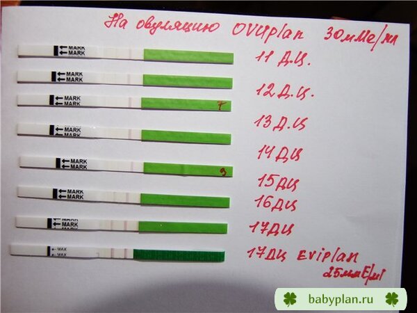 Ovuplan