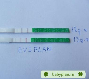 первый тестики на овульку