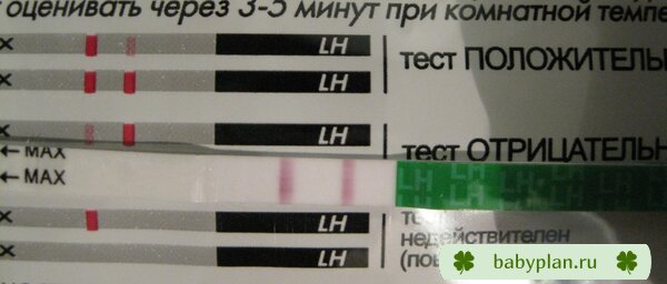 Овуля или ?????