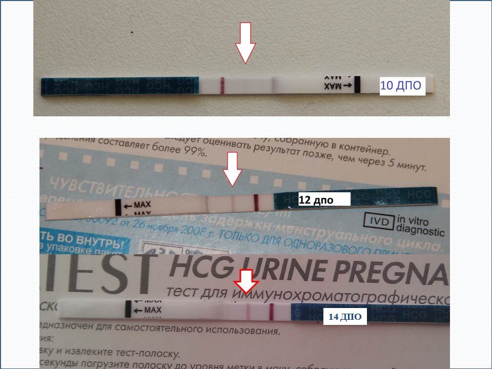 Тесты на беременность после овуляции форум. Evitest на беременность на 10 ДПО. 10 ДПО эвитест положительный. Эвитест 2 полоски. Тест на беременность 12 ДПО эвитест.
