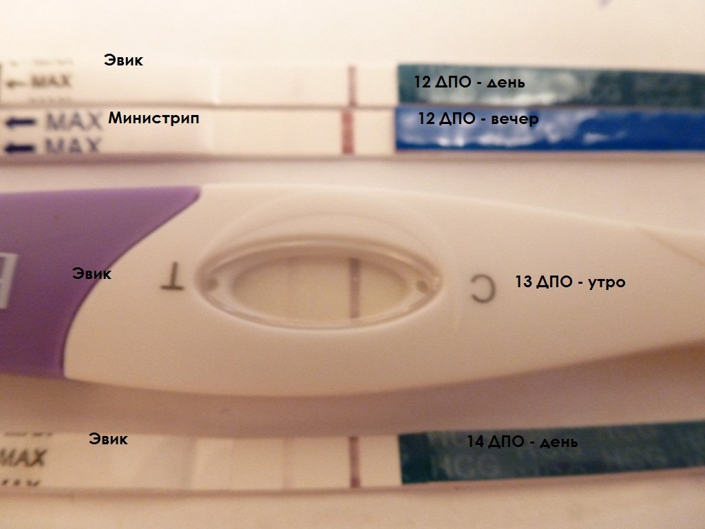 Когда делать тест на беременность утром вечером. Тест на беременность утром и вечером. Тесты на беременность утро вечер. Тест на беременность вечером. Тест на беременность положительный а вечером отрицательный.
