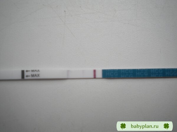 DSCN2198